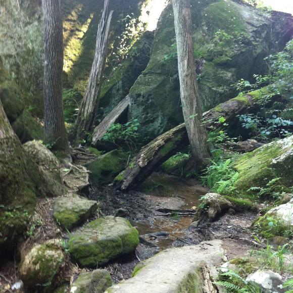 Meet your Posher, Monika - Picture 1 of 1